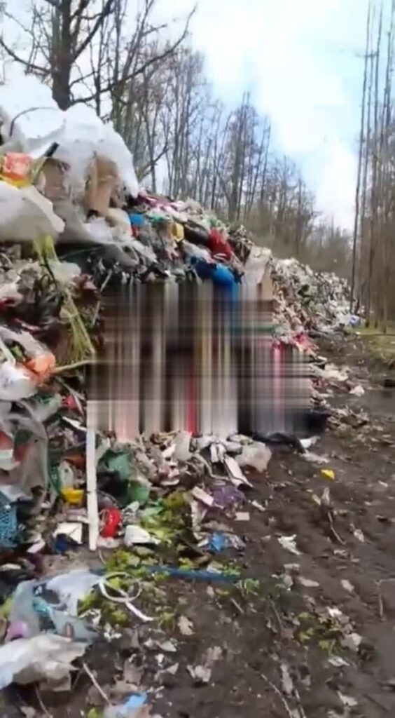 Воскресенск тонет в мусоре: реальность против фейк‑материала о «чистом городе» com.bongasoft.addremovewatermark img 20260418 154826