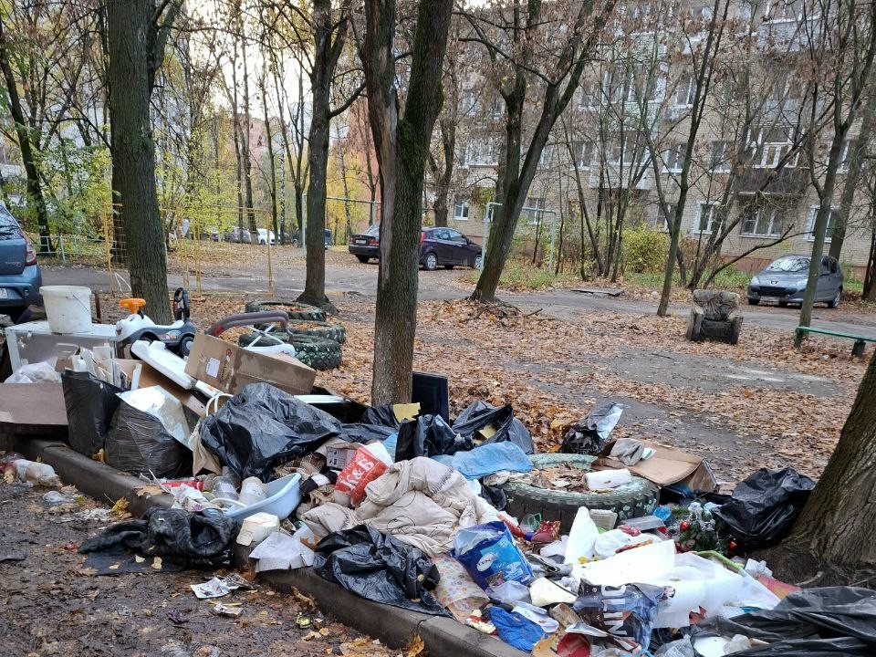 Камеры в Воскресенске: кто теперь отвечает за мусорные завалы? zbcbh0tkkpa 1